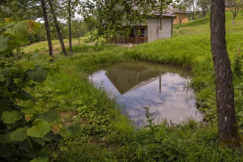 Satul de vacanta Cuibul Lupilor House in Cluj County