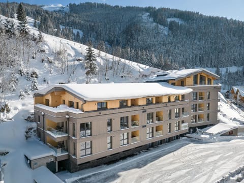 Wildbach Lodge Dienten Apartment hotel in Salzburgerland