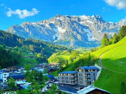 Wildbach Lodge Dienten Apartment hotel in Salzburgerland