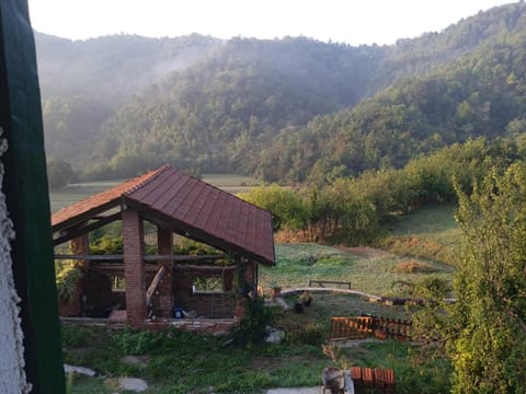 Garden, Garden view