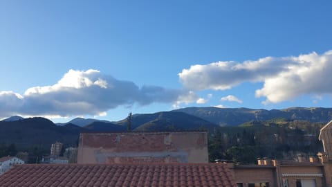 Casa Matilda - Apartamento con chimenea, vistas, rustico-elegante en el centro Condo in Sant Joan de les Abadesses