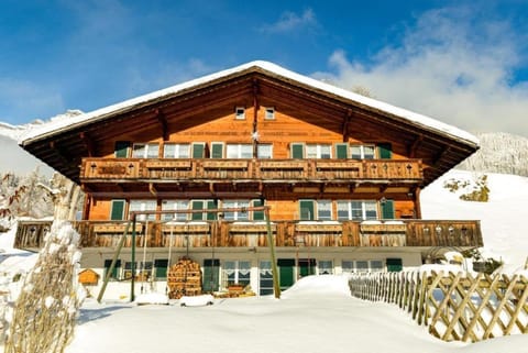 Chalet Burgstein, Wohnung Enzian Apartment in Grindelwald