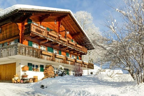 Chalet Burgstein, Wohnung Enzian Apartment in Grindelwald