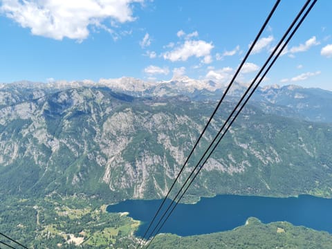 Chalet Burja at Vogel mountain - cable car access or hiking - not reachable with car Bed and Breakfast in Friuli-Venezia Giulia