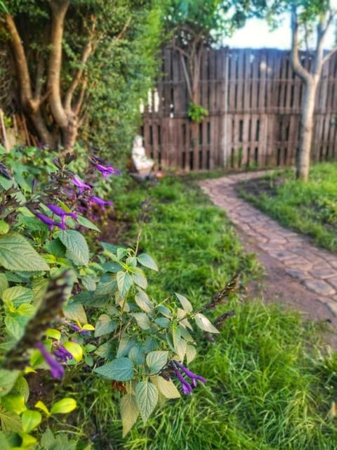 Garden, Garden view