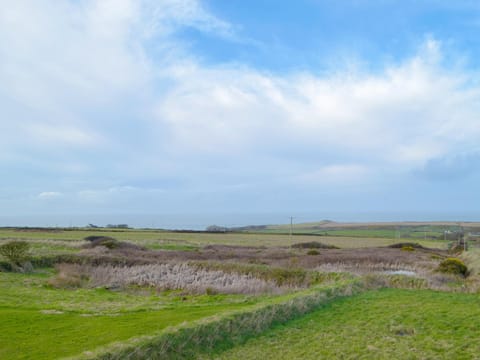 Puffin Cottage Maison in Saint Davids