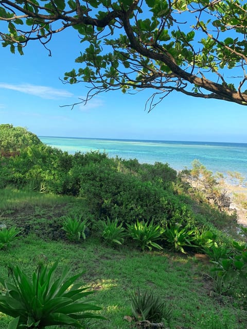 Garden, Beach, Sea view