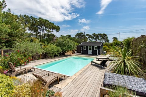 Garden, Pool view, Swimming pool, sunbed