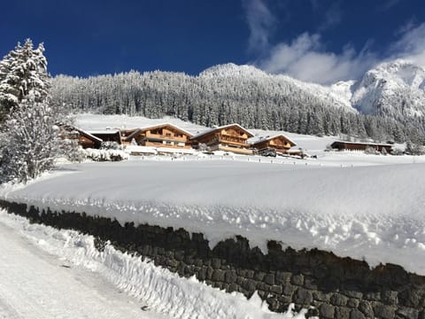 Property building, Winter