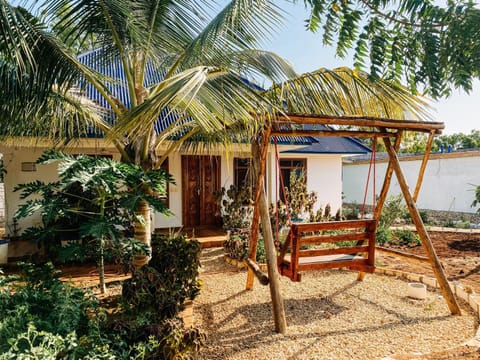 Patio, Day, Garden, Garden view