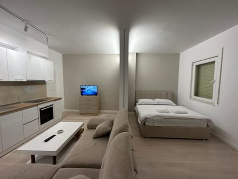 Bed, TV and multimedia, Kitchen or kitchenette, Living room, Photo of the whole room