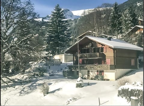 Property building, Day, Natural landscape, Winter, Mountain view