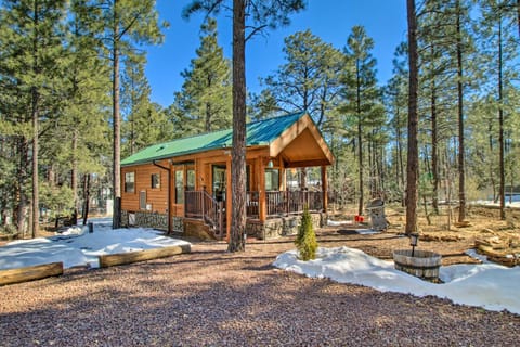 Lakeside Cabin with Fire Pit about 4 Mi to Show Low Lake House in Pinetop-Lakeside