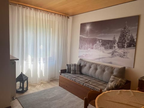 Casa Monte Zebio Apartment in Asiago