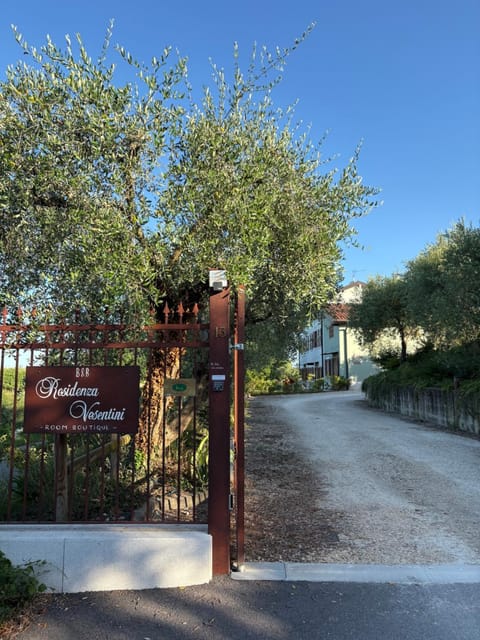 Spring, Day, Natural landscape, Street view