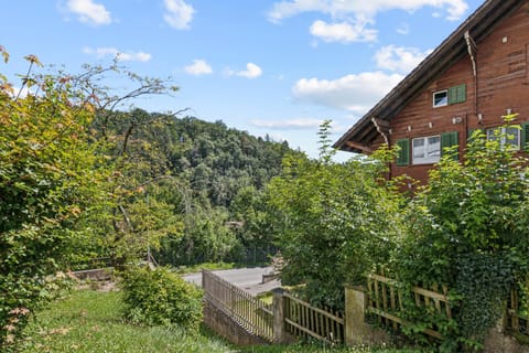 Natural landscape, Garden, Garden, Garden view, Mountain view