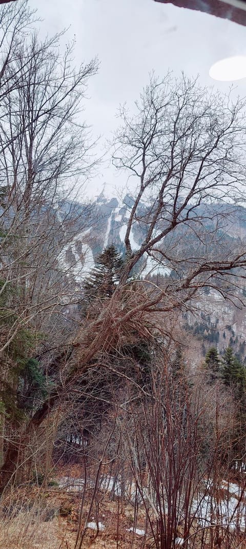 Natural landscape, Mountain view