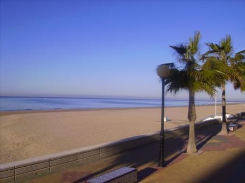 Beach, Area and facilities