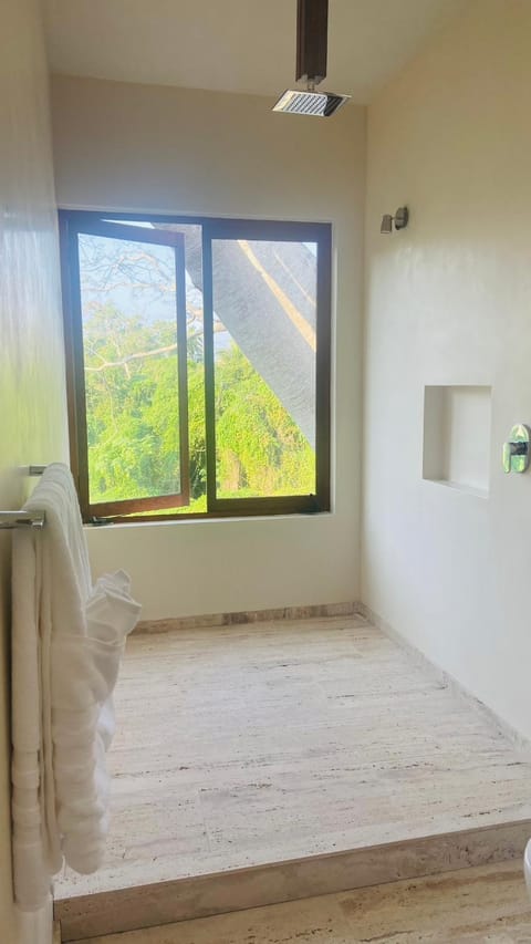 Luana suites- Suite Koya Apartment hotel in Zihuatanejo