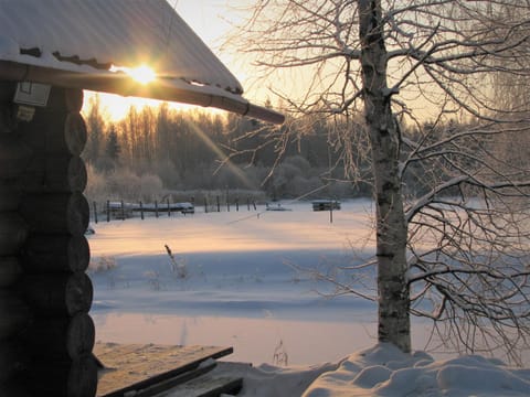 Winter, Sunset