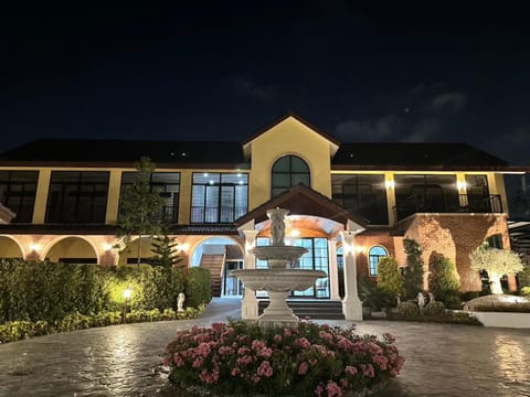 Property building, Night, Garden, Garden view