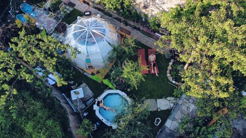 Spring, Day, Natural landscape, Bird's eye view, Garden, Garden view, Pool view, Swimming pool, sunbed