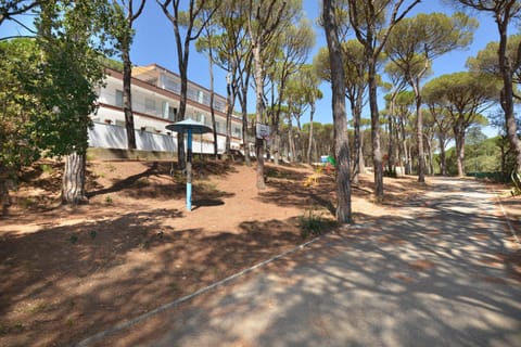 Day, Natural landscape, Children play ground, Garden