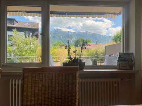 Garden view