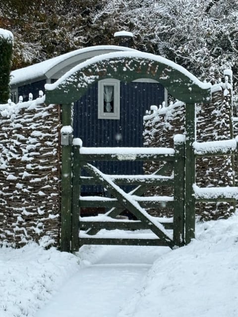 Day, Winter, Garden