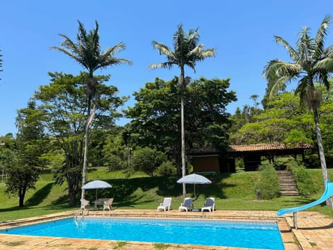 Spring, Day, Garden, Garden view, Pool view, Swimming pool, sunbed