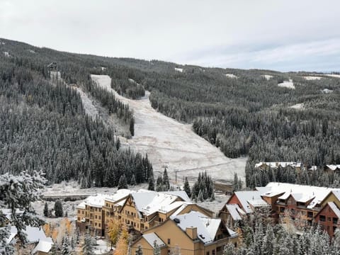 Bear Tracks 18 by SummitCove Lodging House in Keystone