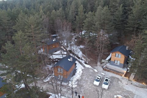 Abant Niz Nature lodge in Ankara Province