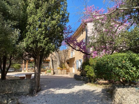 Property building, Patio, Garden, Dining area, Garden view