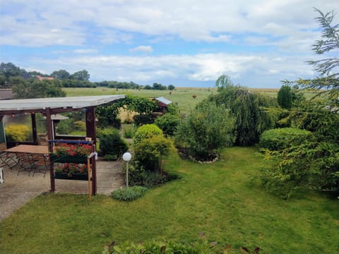 Day, Garden, Garden view