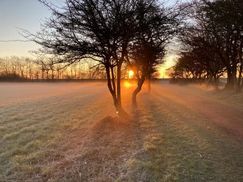 Spring, Natural landscape, Sunrise