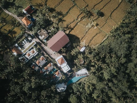 Property building, Day, Neighbourhood, Natural landscape, Bird's eye view