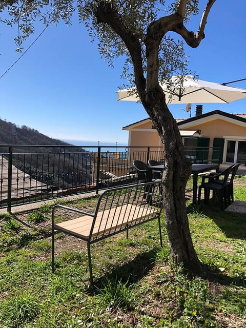 Garden, View (from property/room), furniture