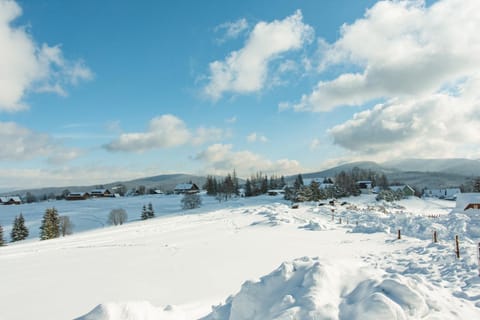 Natural landscape, Winter, Mountain view