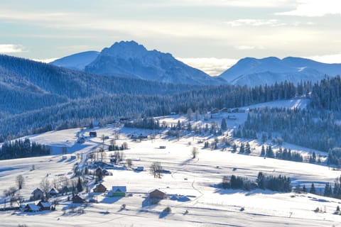 Natural landscape, Winter, Mountain view