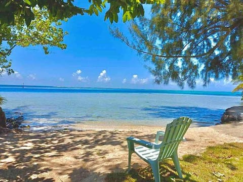 Natural landscape, Beach, Sea view, sunbed