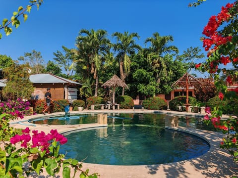 Pool view, Swimming pool