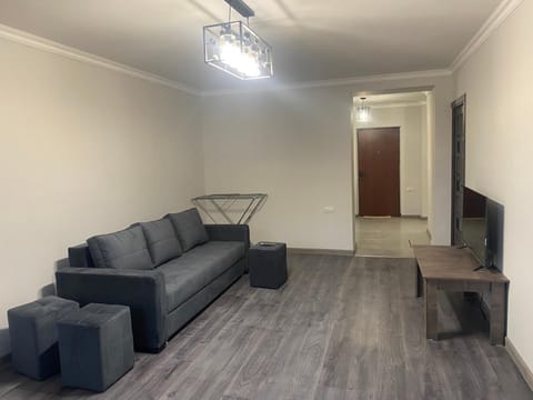 3 Cosy apartment near Airport EVN Condo in Yerevan