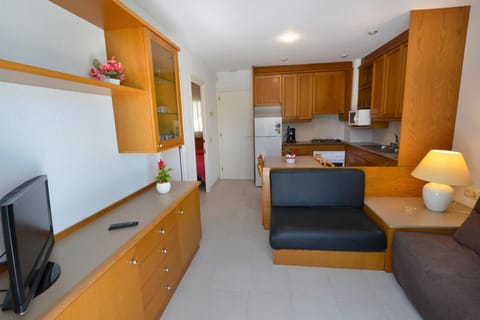 TV and multimedia, Kitchen or kitchenette, Living room, Seating area, Dining area, minibar, pet friendly, stove