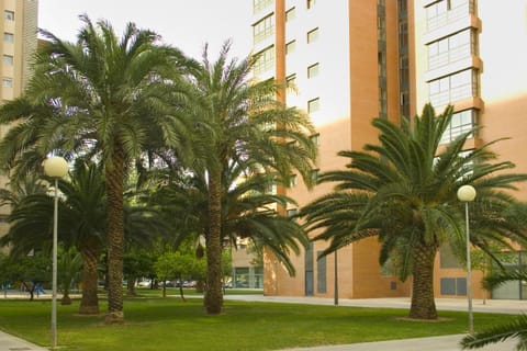 Apartamentos Plaza Picasso Appartement in Valencia
