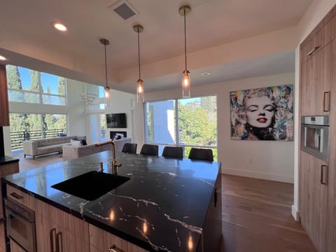 Gorgeous New Private and Gated Home in Prime Silver Lake Chalet in Echo Park