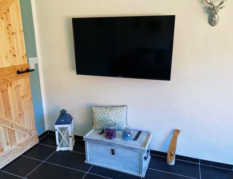 TV and multimedia