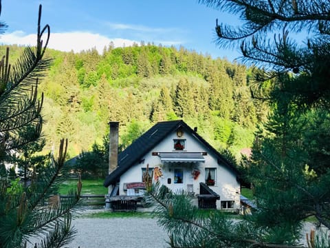 Alpin Ranch House in Brașov County