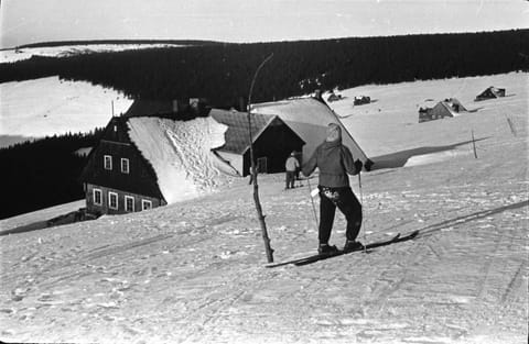 Day, People, Natural landscape, Winter, Skiing, Guests