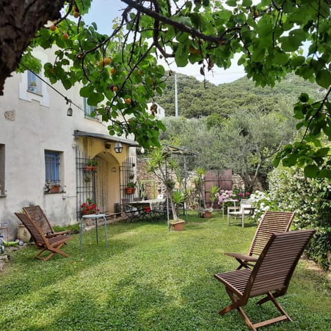 Garden, Garden, Garden view