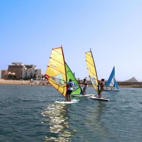 People, Windsurfing, group of guests